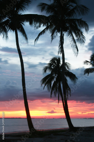Swaying in the Breeze