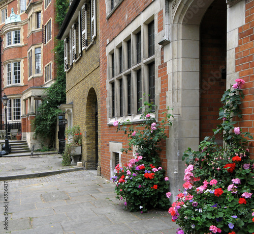Elegant London street and house entrance with flowers
