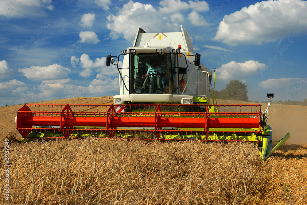 Fototapeta premium Mähdrescher im Einsatz