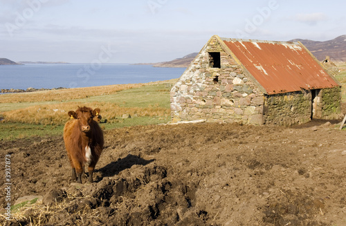 Old byre is still Standing