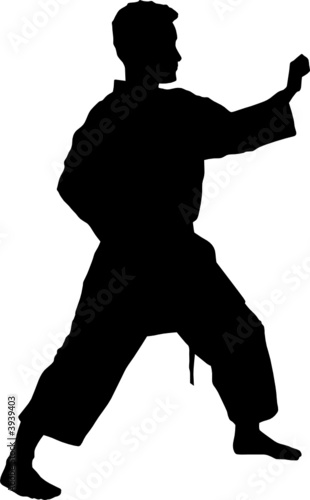 Sport silhouette - Martial arts