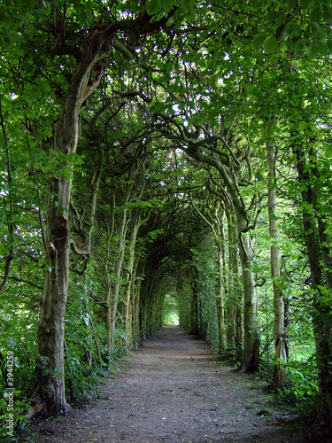 Arched Pathway