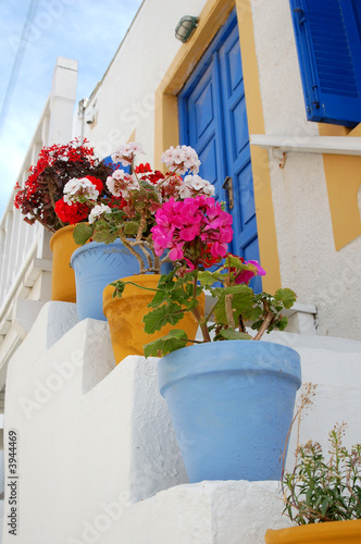 Colorful Pots