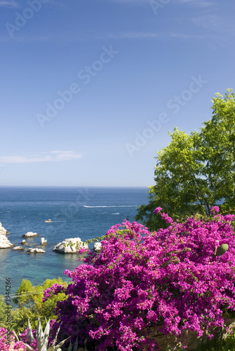 coastal scene with flowers sicily