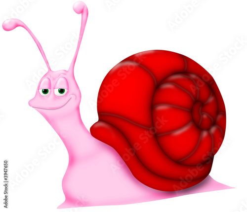 Foto Snail