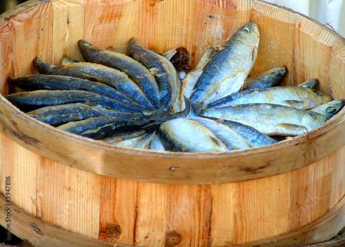 sardines