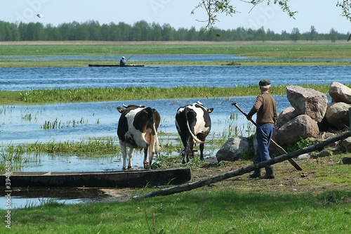 biebrza river 4 photo