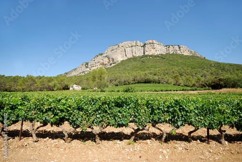 aoc languedoc photo