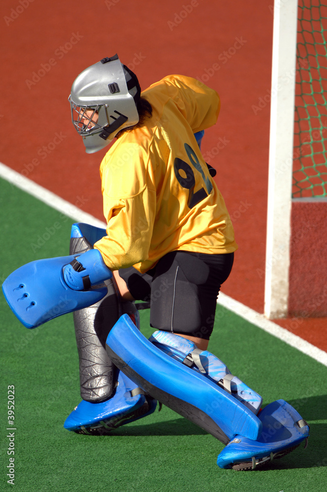 Fototapeta premium Astro hockey 02