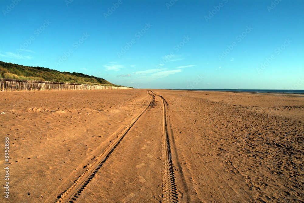 Coastal Scene