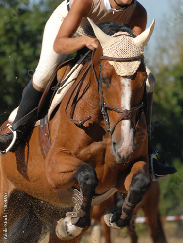 cheval et sa cavalière sautant un vertical