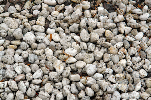 Canvas Print White stones