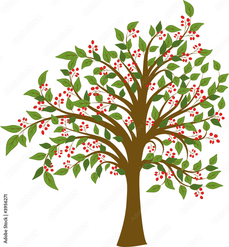 Summer tree with fruits, vector