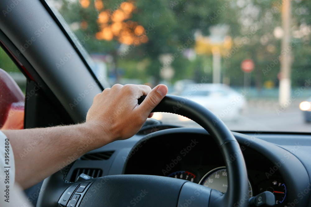 The man holds a rudder of the car The man holds a rudder of the car