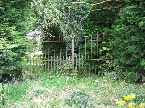 Gate photo