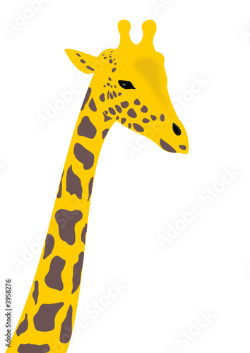 giraffe