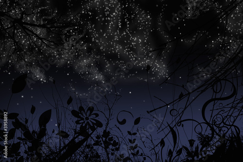 notte stellata