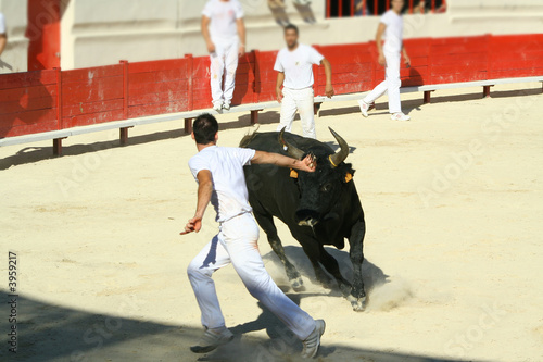Enlévement de la cocarde 