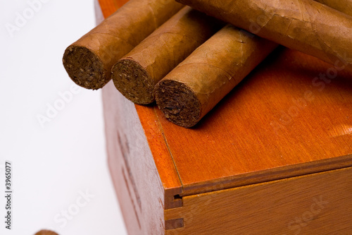 Cigars