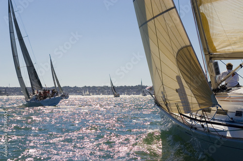 Racing In The Evening Sun
