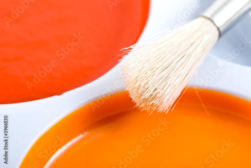 Water paints