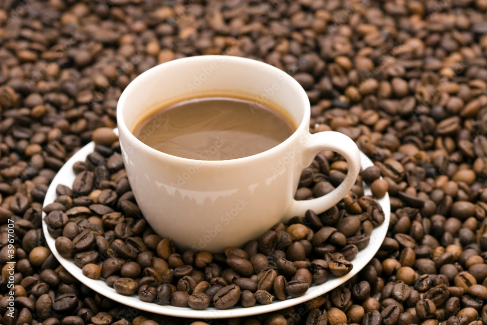 Coffee Coffee