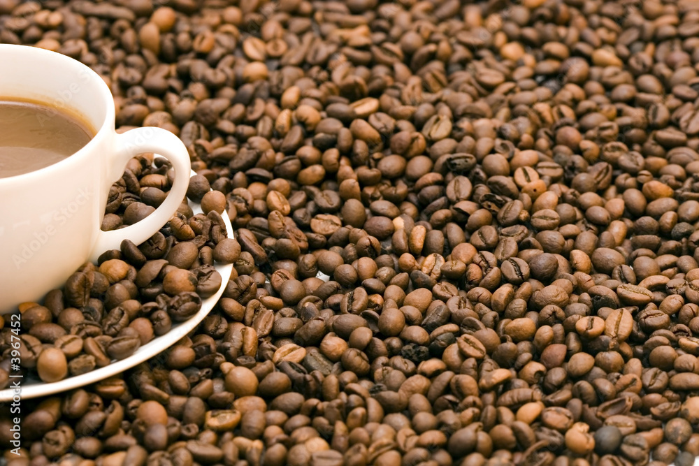 Fototapeta premium Coffee