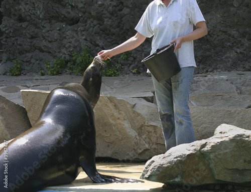 Fütterung im Zoo