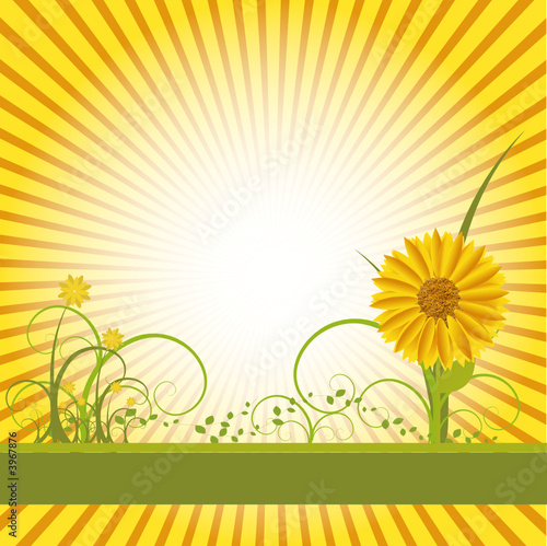 Floral Vector