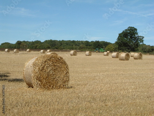 Bales of straw in a field