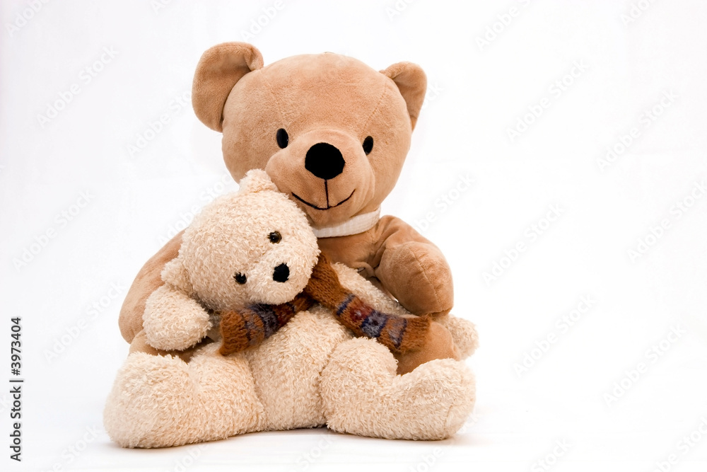 Obraz premium Teddy bear