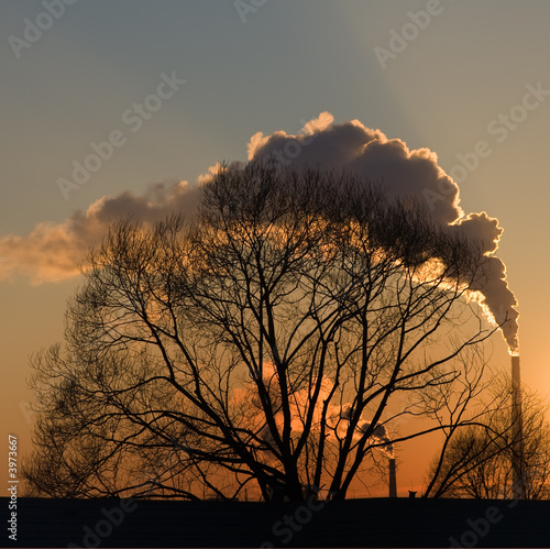 Smoke at sunset