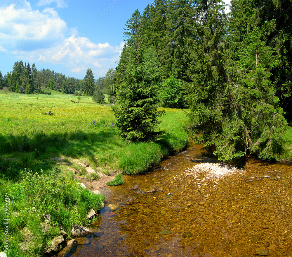 Fototapeta premium Mountain river