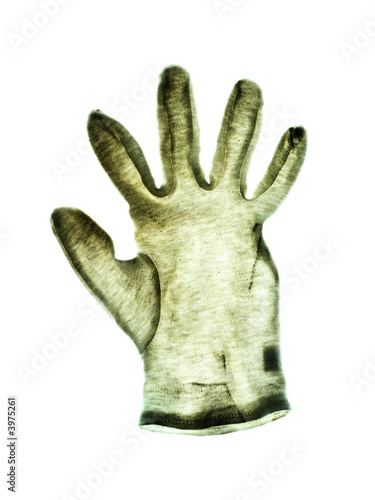 Cotton glove photo