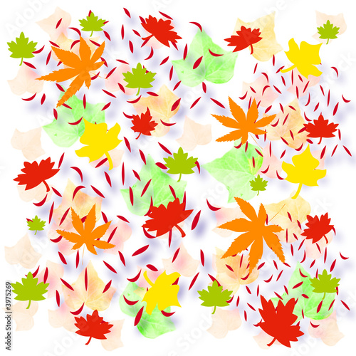 Photography autumn leaf scrapbook