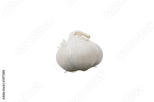 Garlic bulb