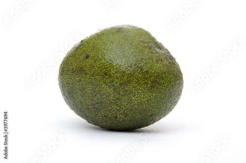 An avocado