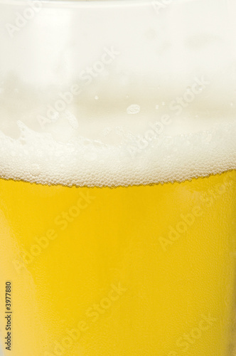 frothy beer