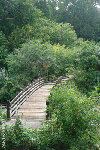 Footbridge surrounded by greenery