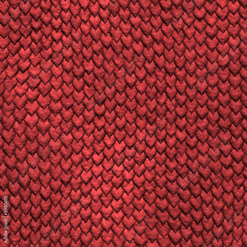 dragonskin