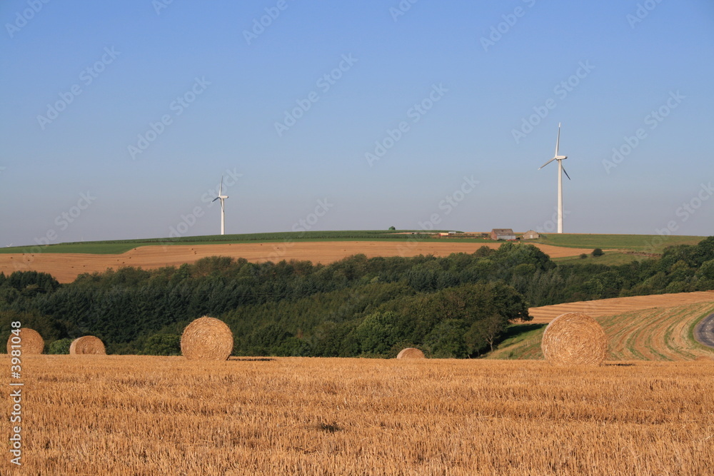 Wind turbines and harvest