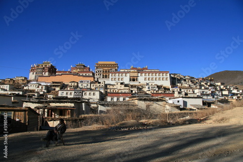 Tibetan buddhist monastery near Shangri La