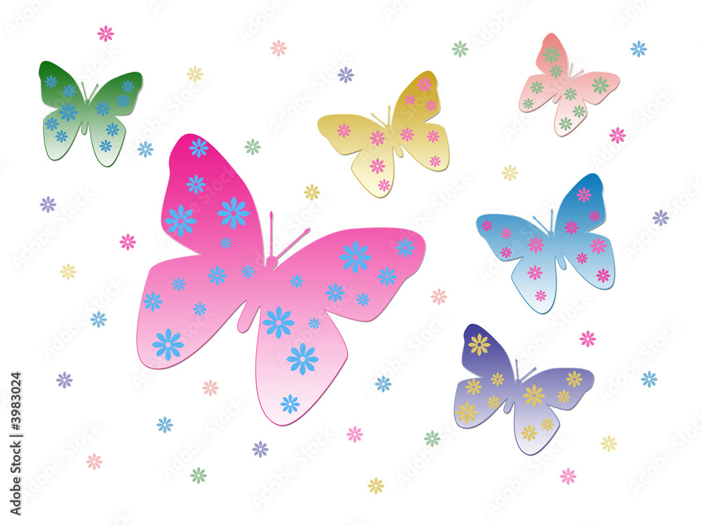 Butterflies Butterflies