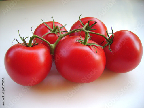 tomate grappe rouge