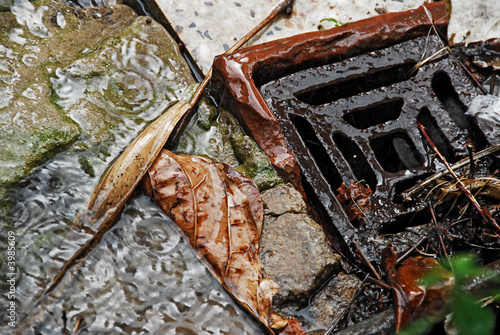 Drain and wet leaves