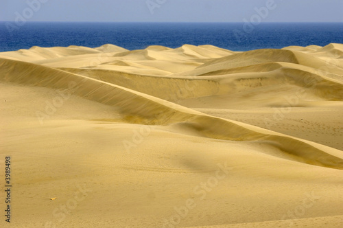 Sand dunes #3989498