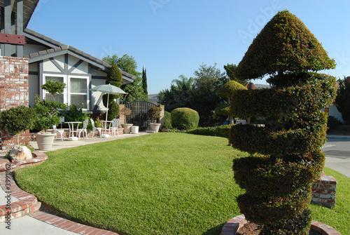 Elegant front yard