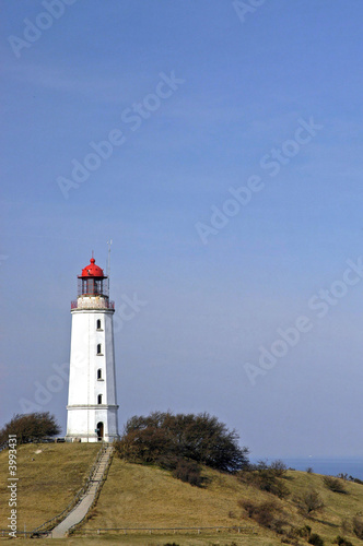 Hiddensee  Leuchtturm  Dornbusch