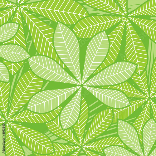 palm leaves