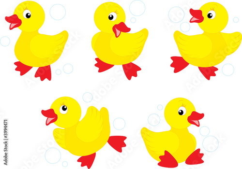 Ducklings